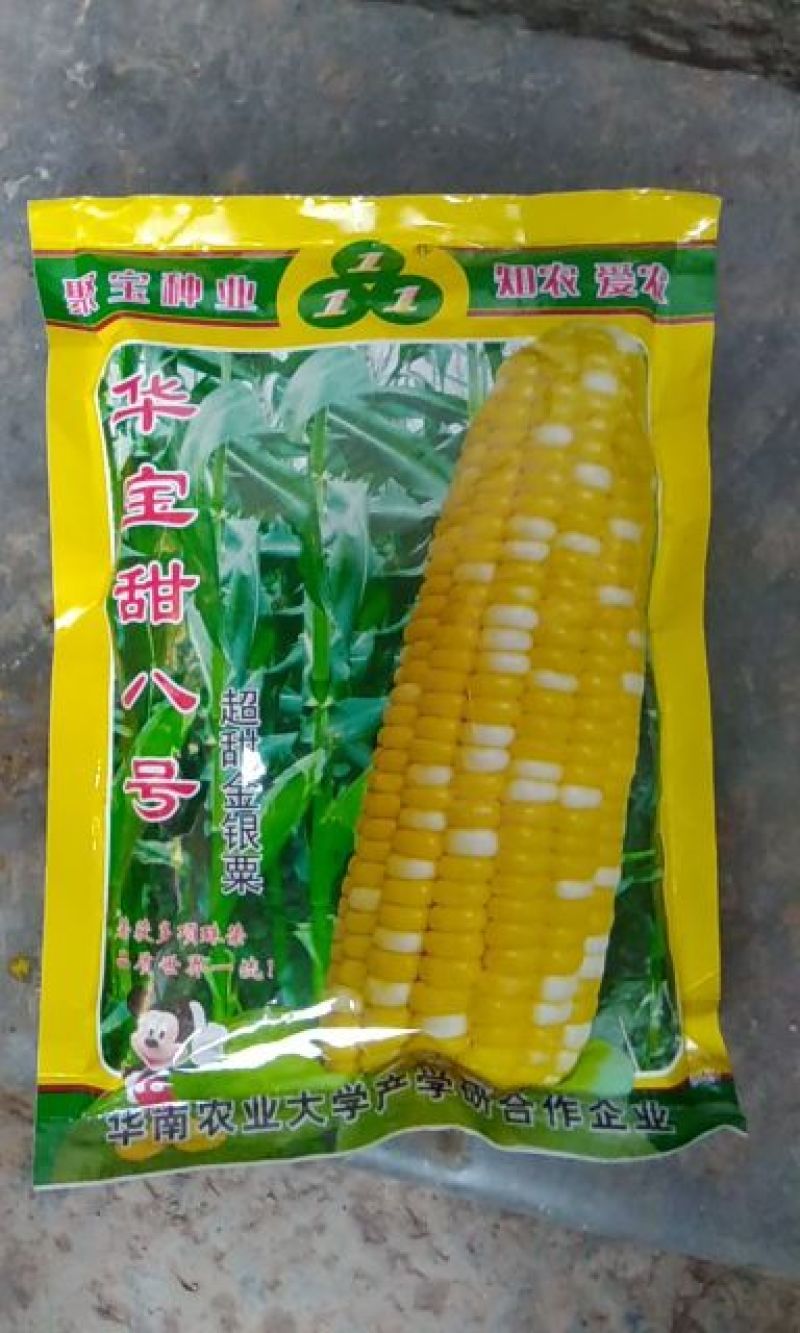 华宝甜8号玉米种子450克
