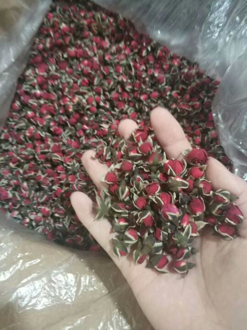 金边玫瑰玫瑰花