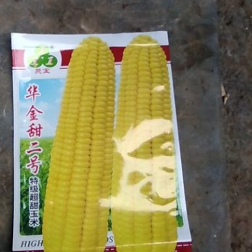 华金甜2号玉米种子450克