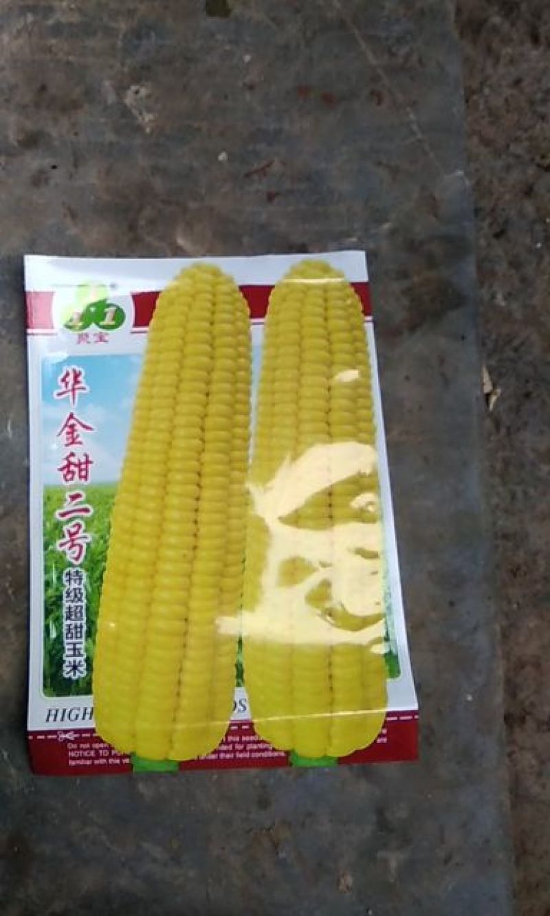 华金甜2号玉米种子450克