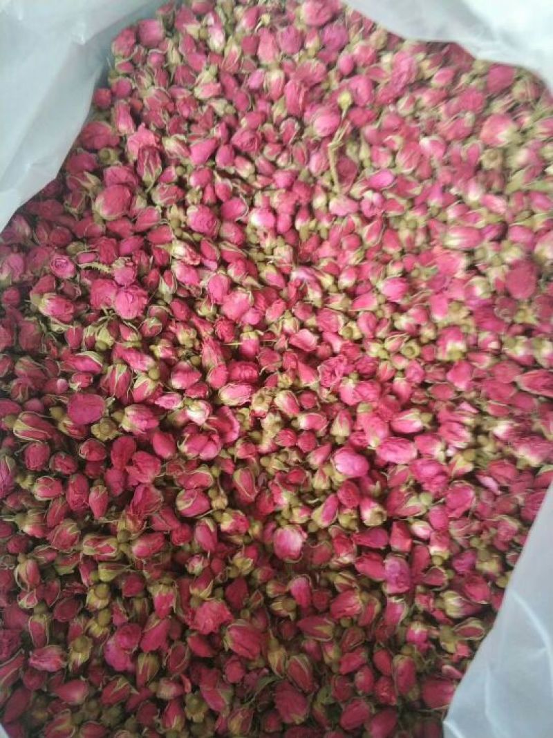 玫瑰