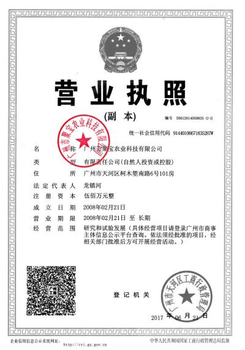 红妃樱系列西红柿种子