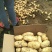 荷兰十五