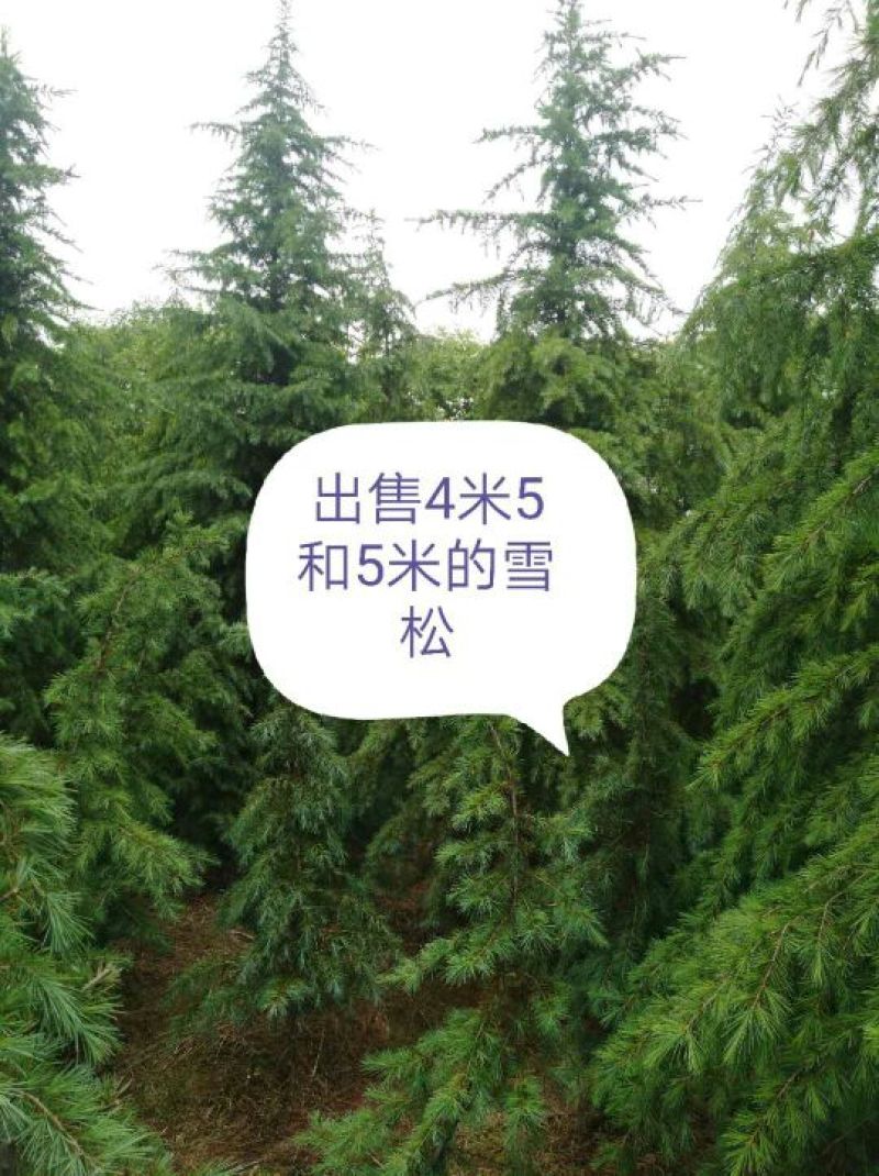 100到800不等