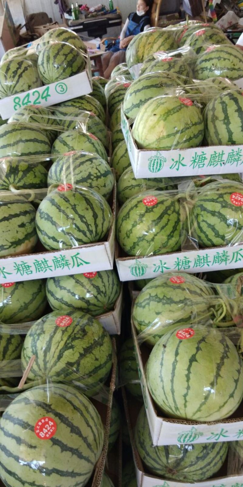 8424西瓜一站式服务，基地直发，有专业的团队质量是我信