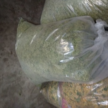 金银花