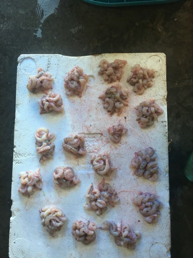 红虾天然优质海虾肉