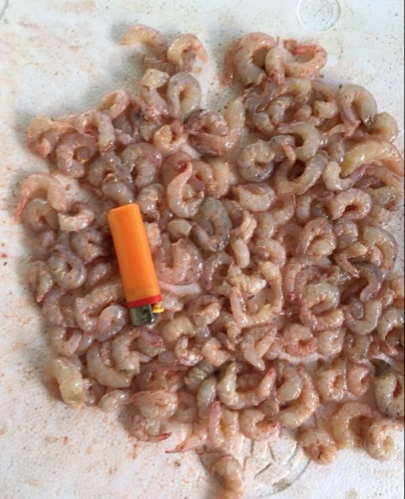 红虾天然优质海虾肉