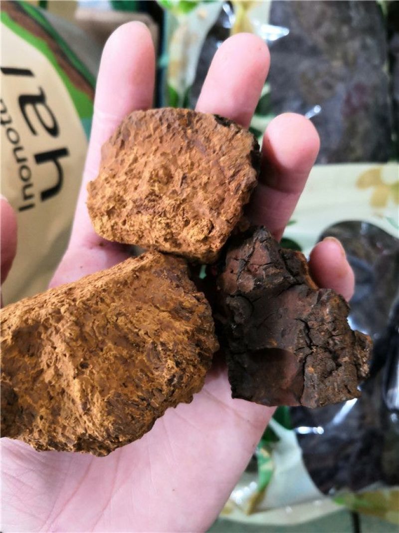 白桦茸糖尿病克星产地俄罗斯野生一公斤起包邮