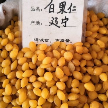白果仁