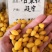 白果仁