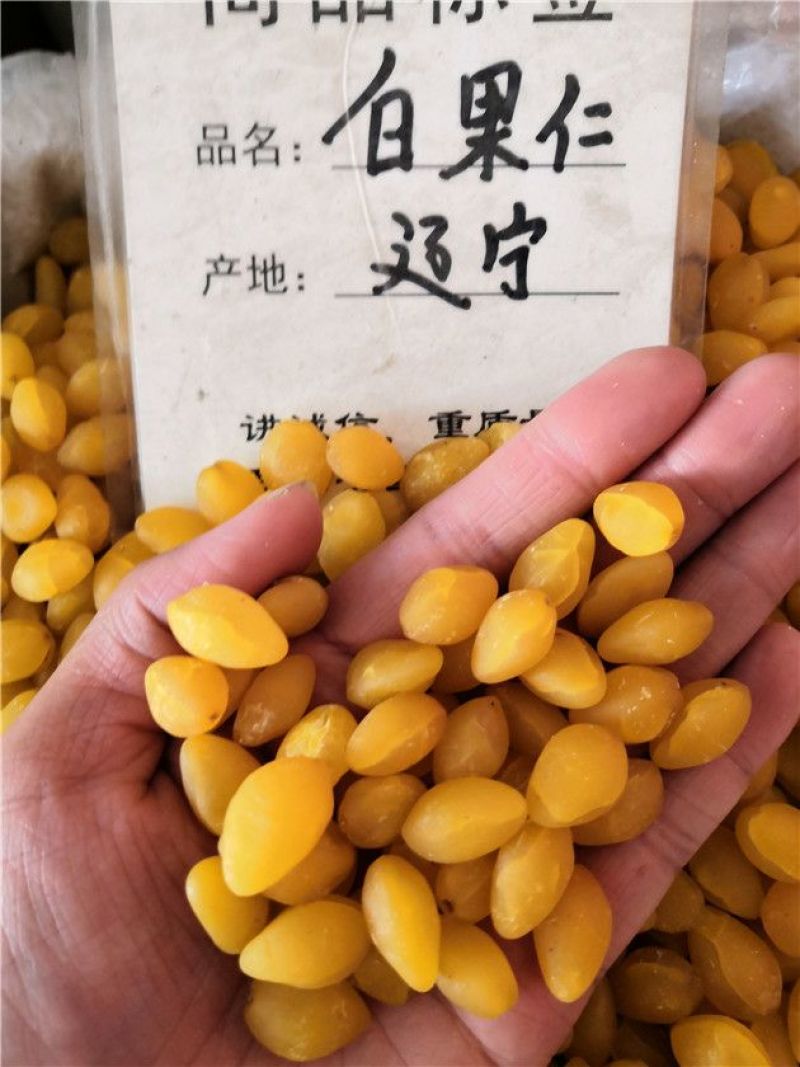 白果仁