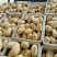 荷兰十五土豆3两以上个头大质量好价格低。