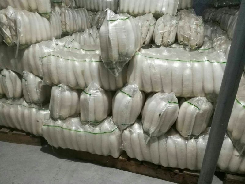 白萝卜