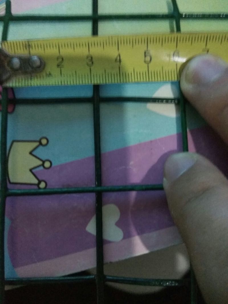 荷兰网3×3cm浸塑铁丝网养殖专用多种规格可选