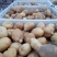 土豆