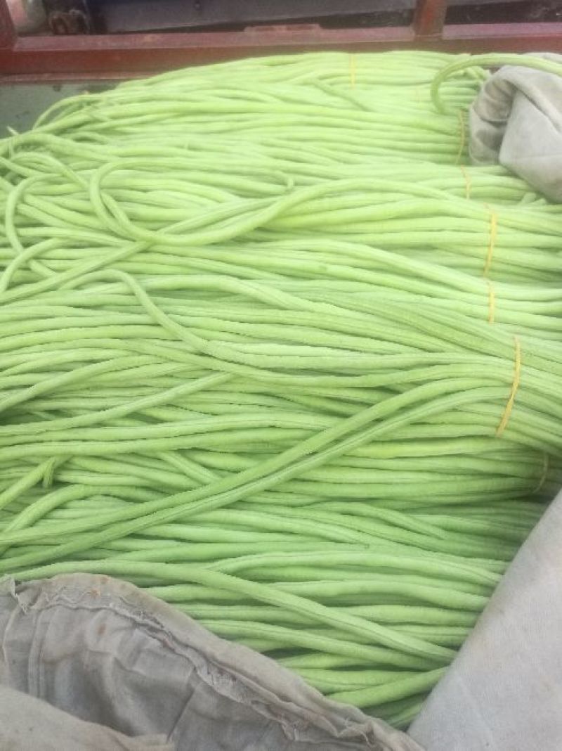 长豆角