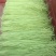 长豆角