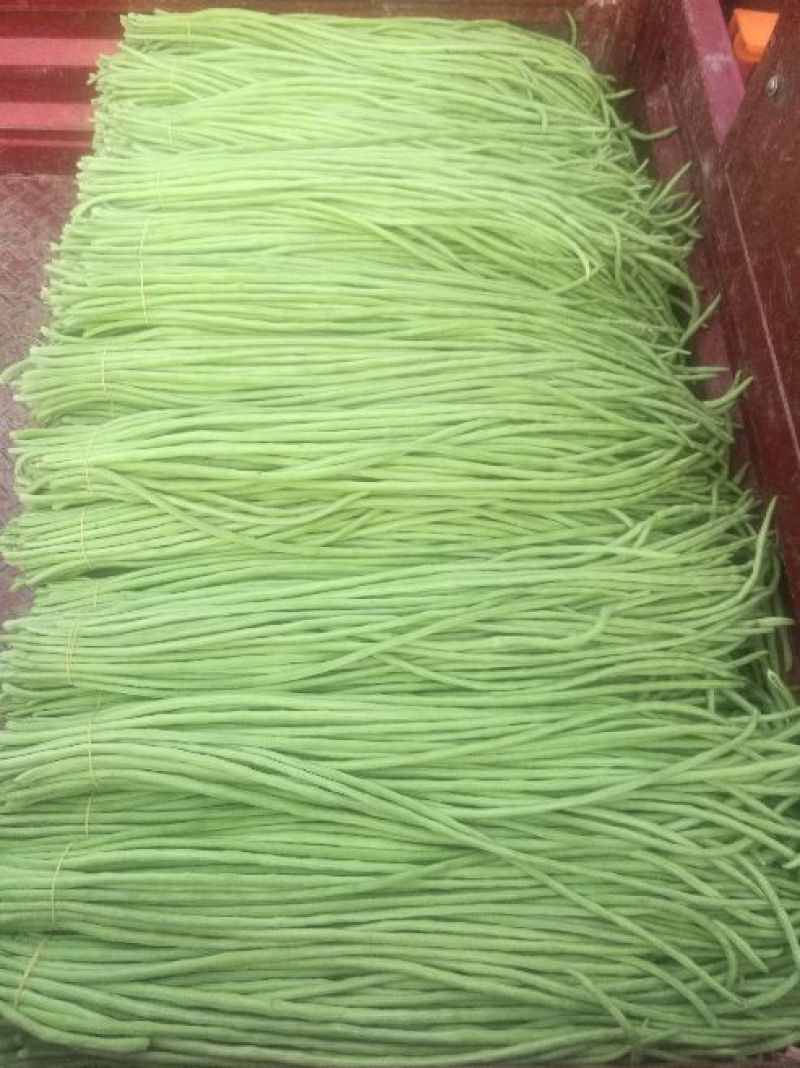 长豆角