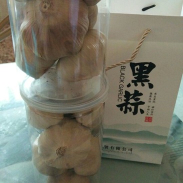 山东省金乡县大蒜之乡黑蒜