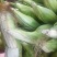 玉米玉米棒