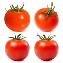 西红柿产地直供货源充足实力代办期待长期合作共赢
