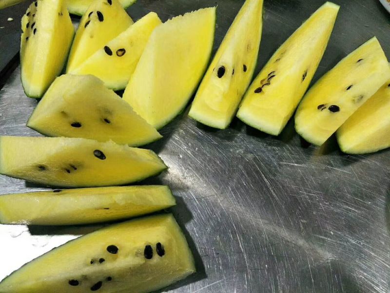 吊瓜