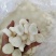 极品马蹄。大号