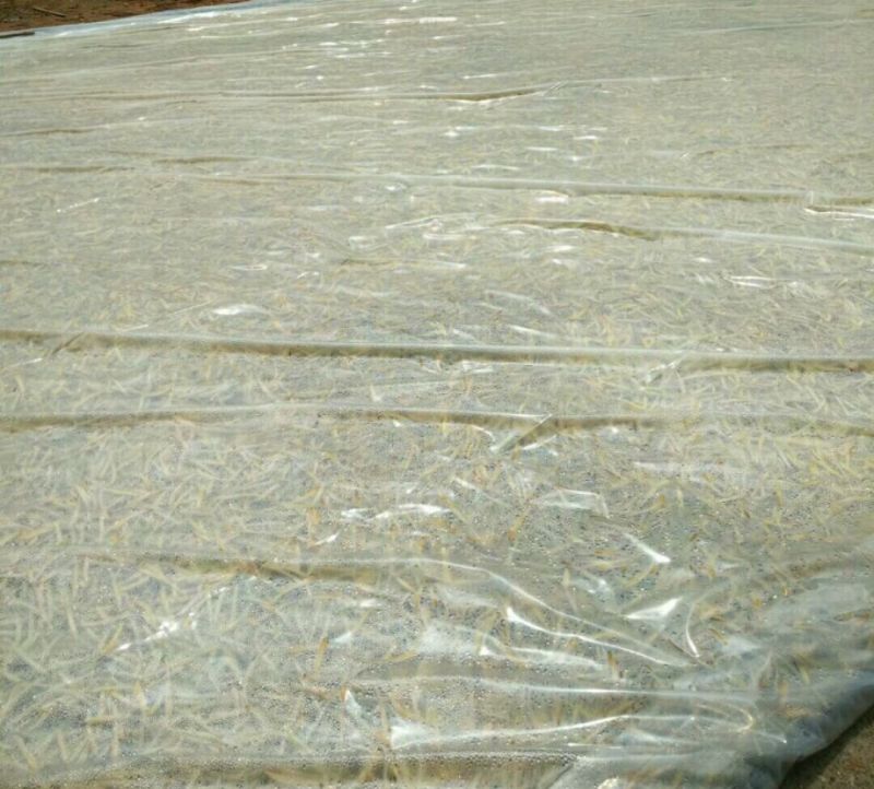 干黄花菜散装一级