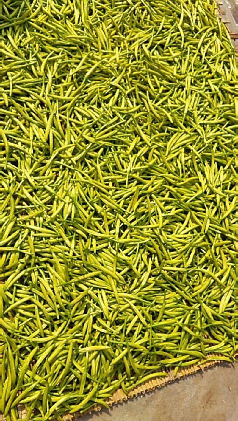 干黄花菜散装一级