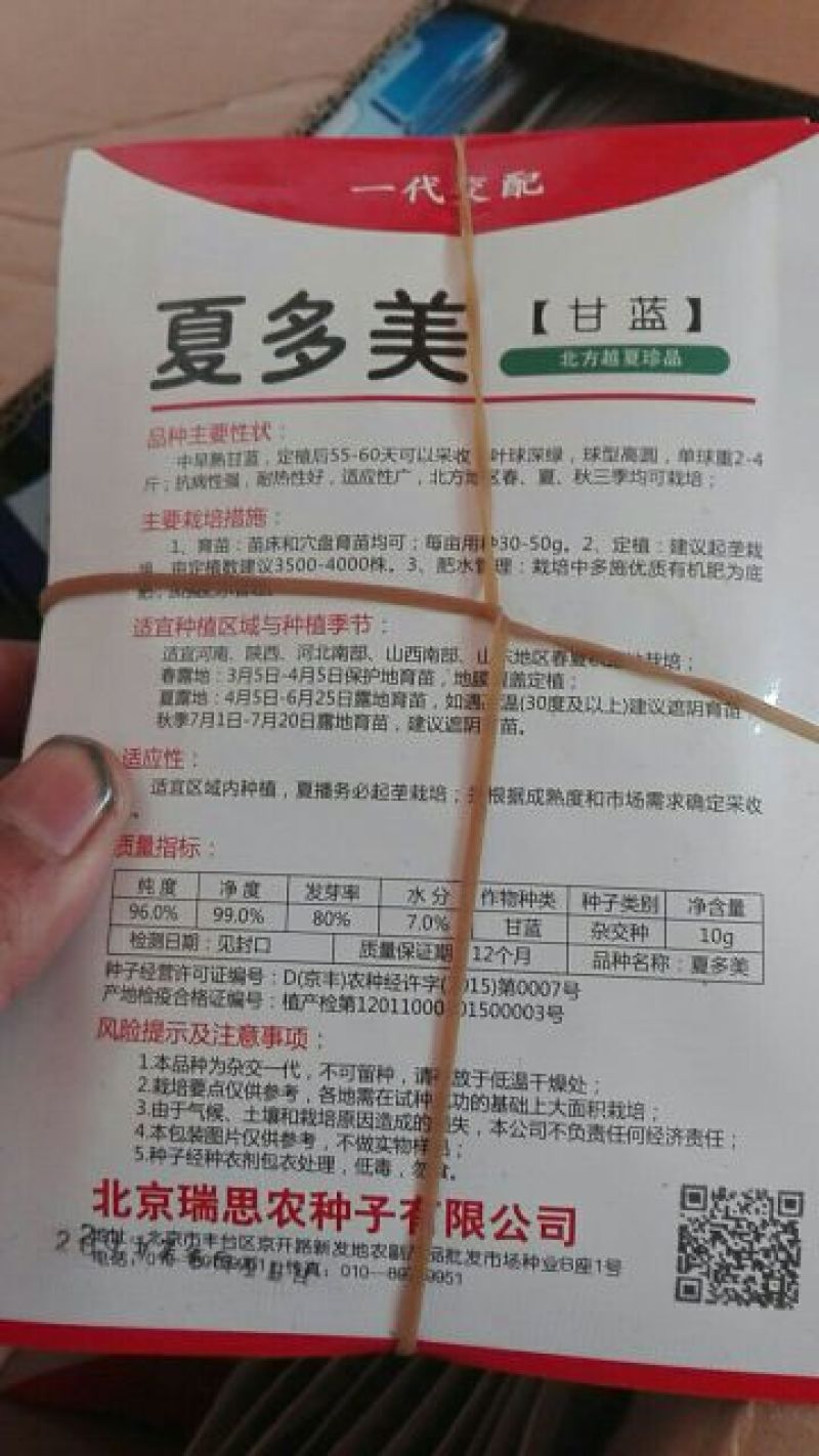 常年批发各种甘蓝种子