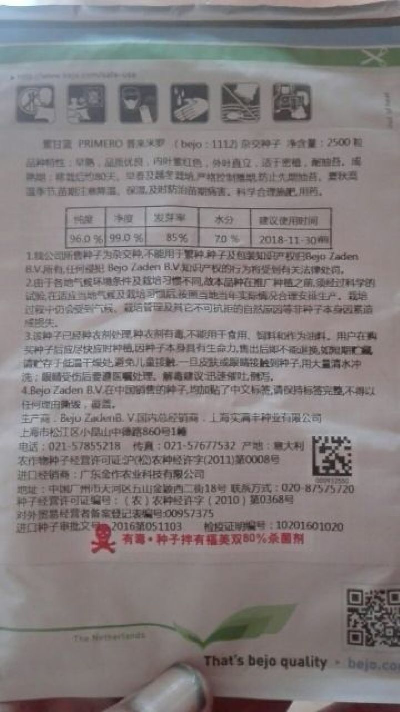 常年批发各种甘蓝种子
