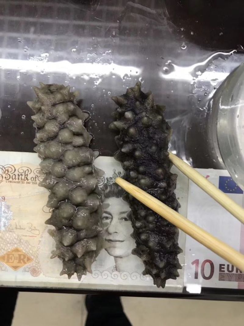 70-80头黑刺参
