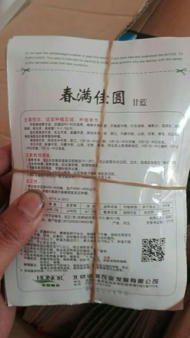 春夏秋冬均可种植