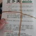 春夏秋冬均可种植