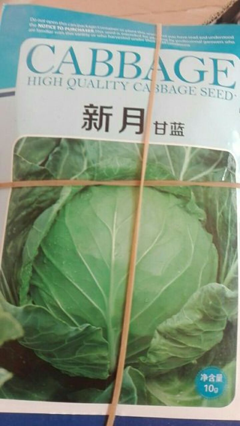 春夏秋冬均可种植