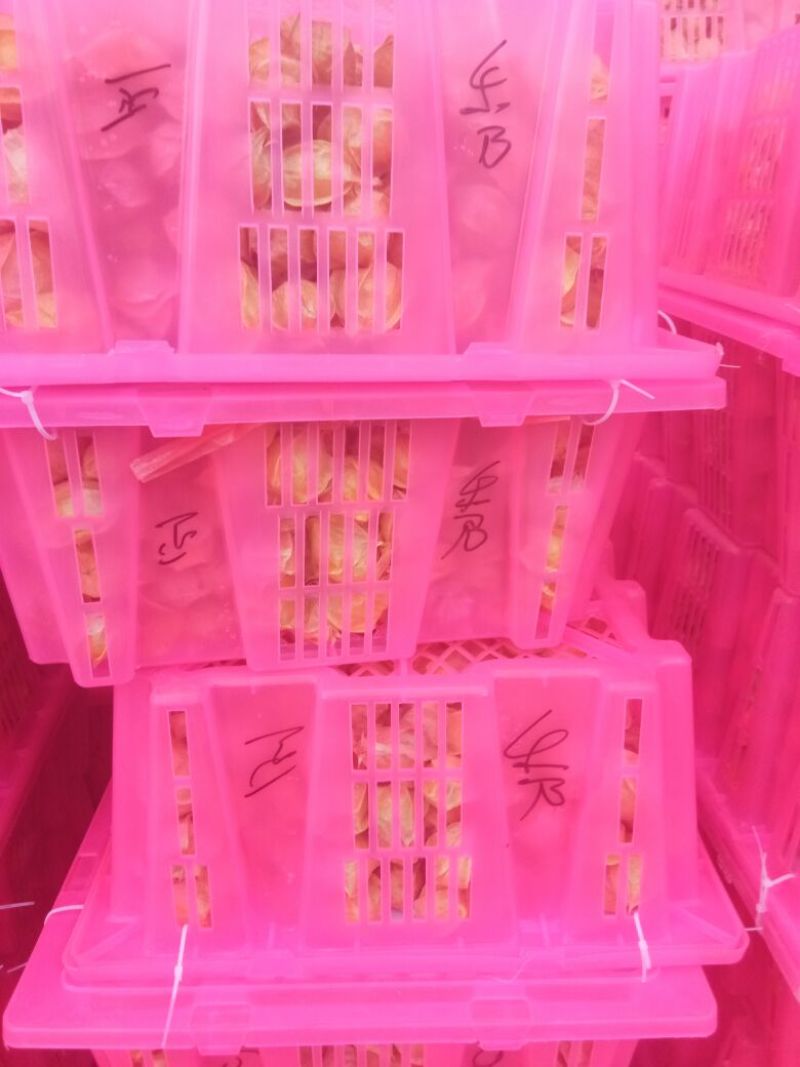 姑娘果灯笼果整车发货产地直发
