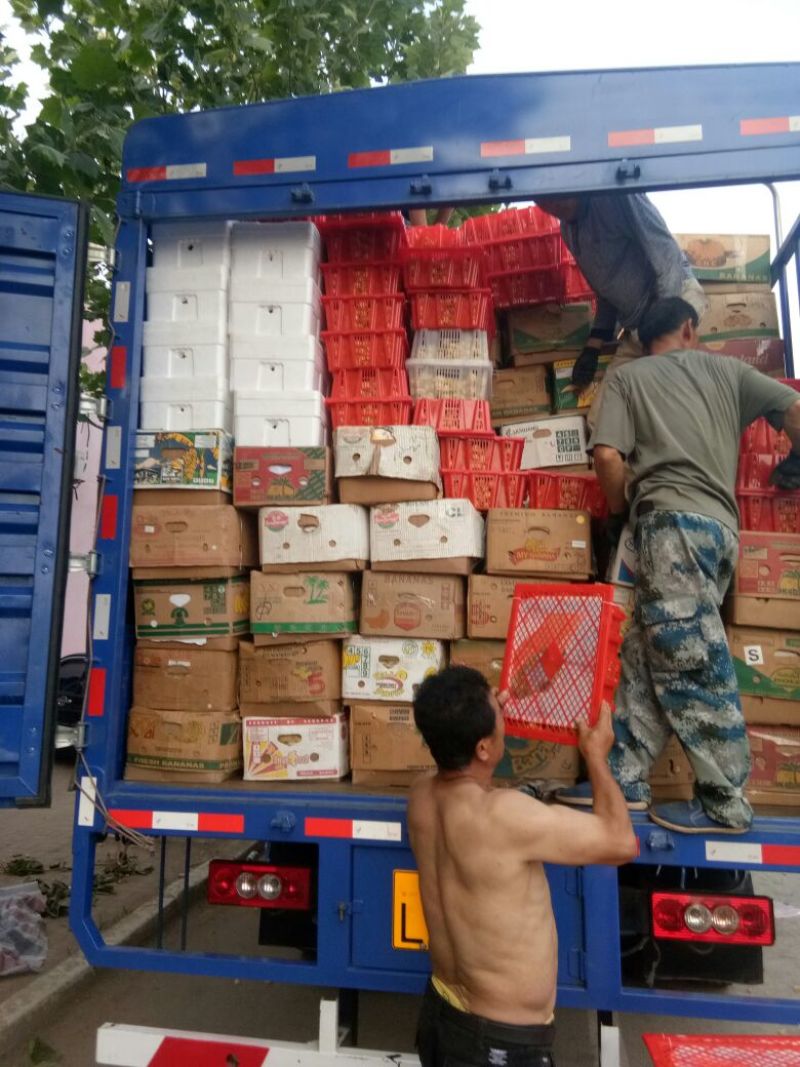 姑娘果灯笼果整车发货产地直发