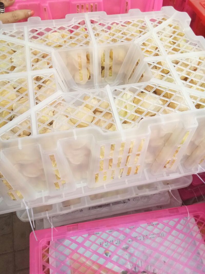 丹东灯笼果姑娘果，甜菇娘基地直发品质保障价格透明