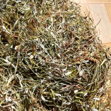 天青地白，小叶鼠龄，地北草/翻叶白，，，，，，