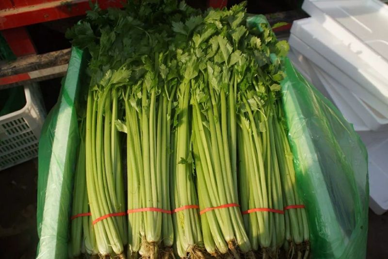 香芹，毛芹，芹菜