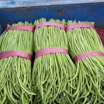 长豆角大量上市