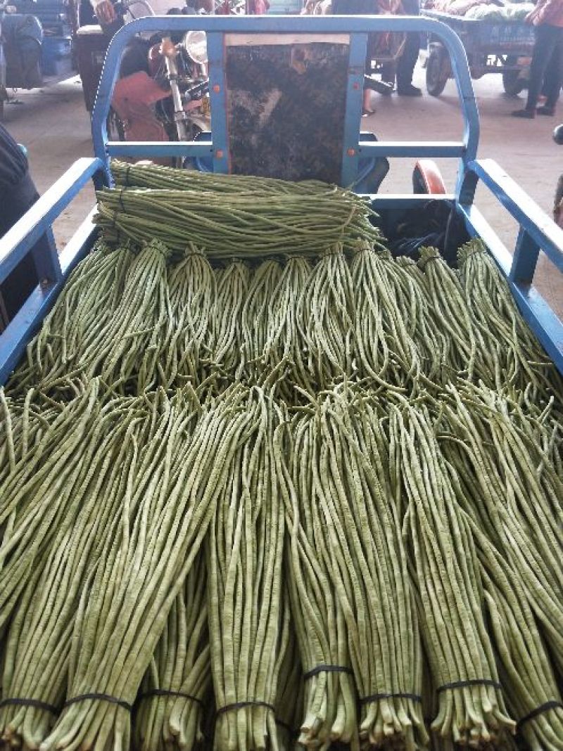 长豆角大量上市