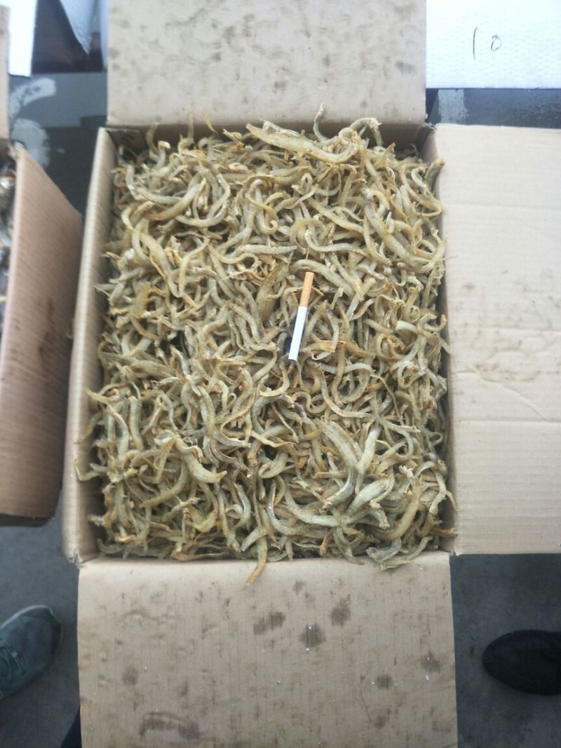 鱼干，凤尾鱼