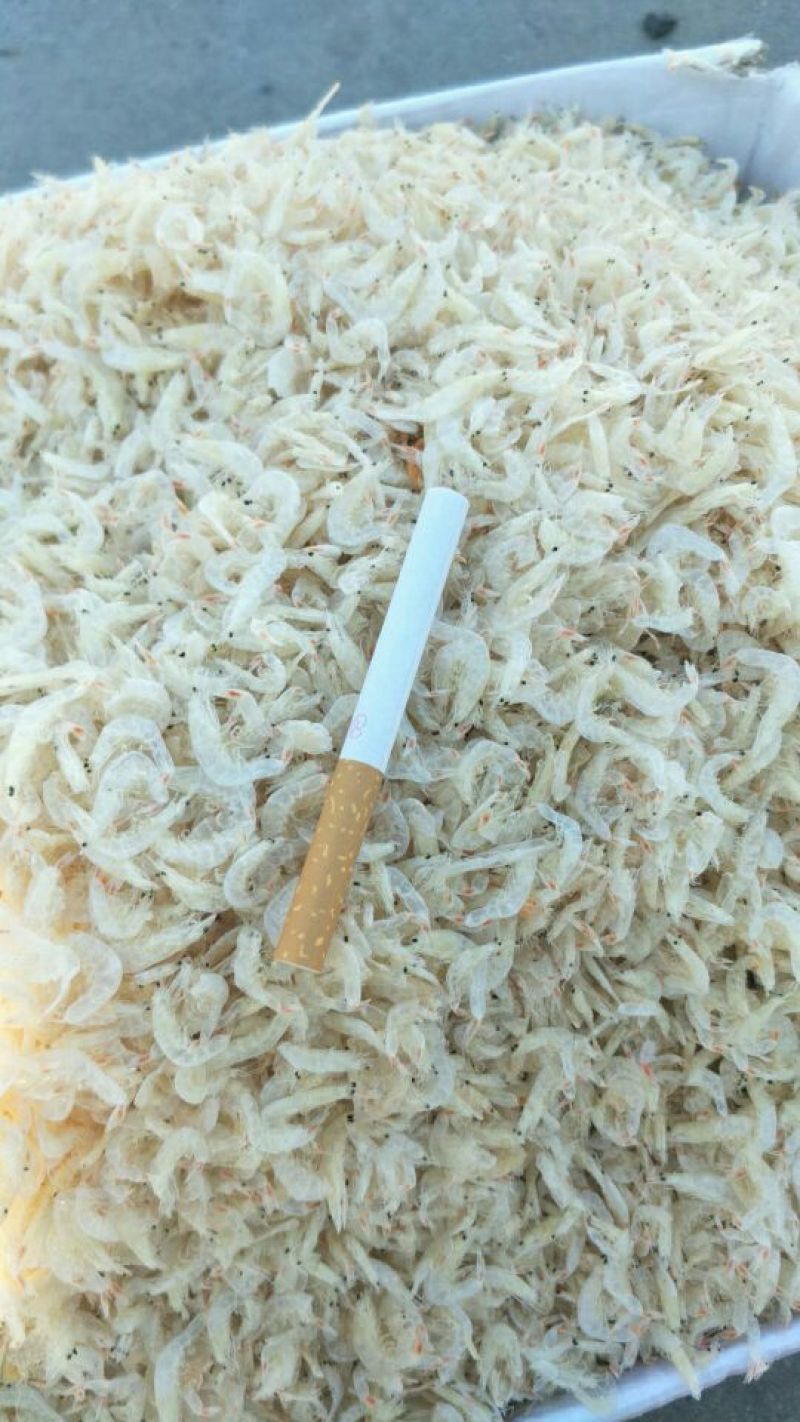 虾皮