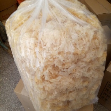 福建特产白木耳花银耳花古田银耳，农产品干货