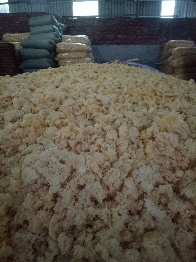 福建特产白木耳花银耳花古田银耳，农产品干货