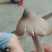 鸡枞菌
