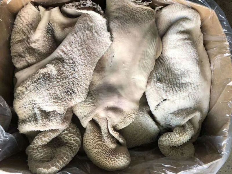 低价八分熟牛净肚