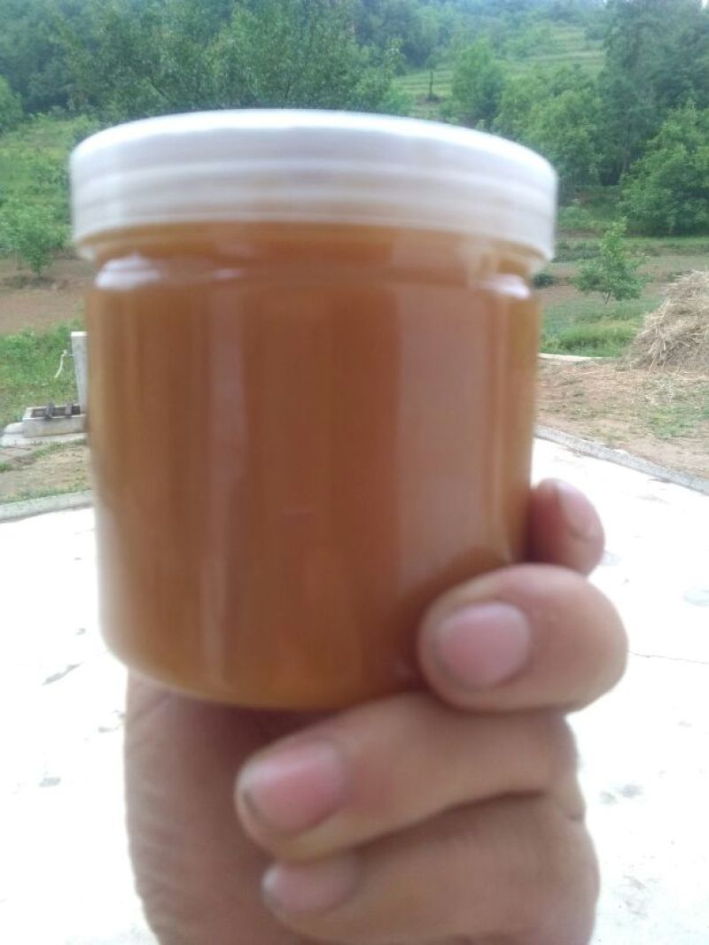 中华老巢土蜂蜜质量没的说